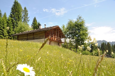 Chalet in the Dolomites