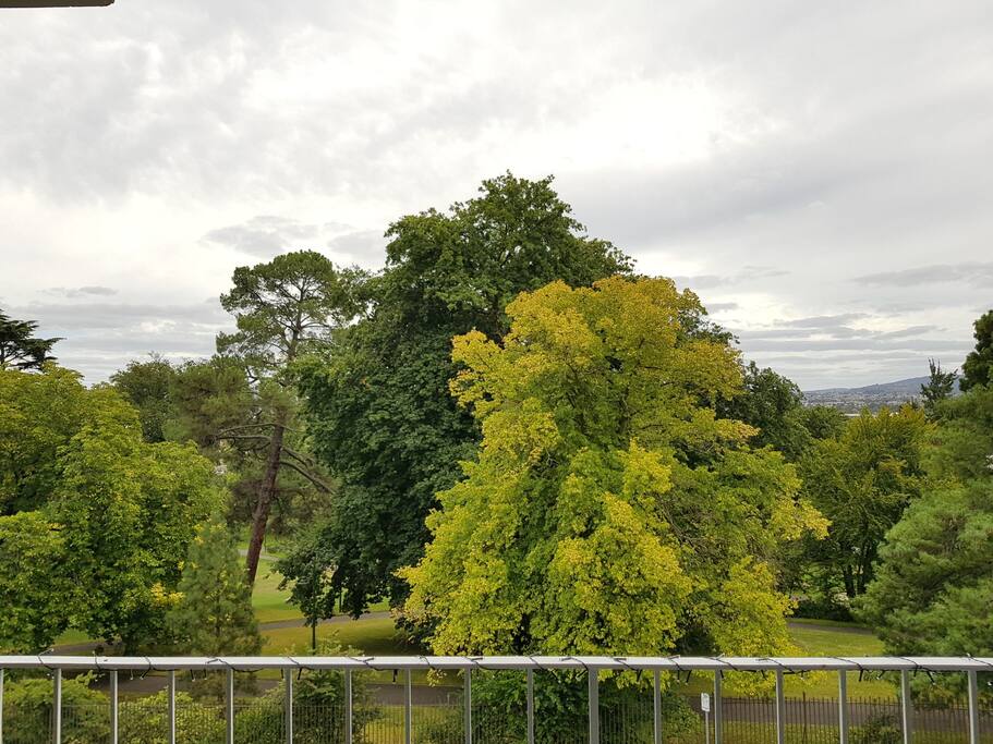 View of City Park from the balcony