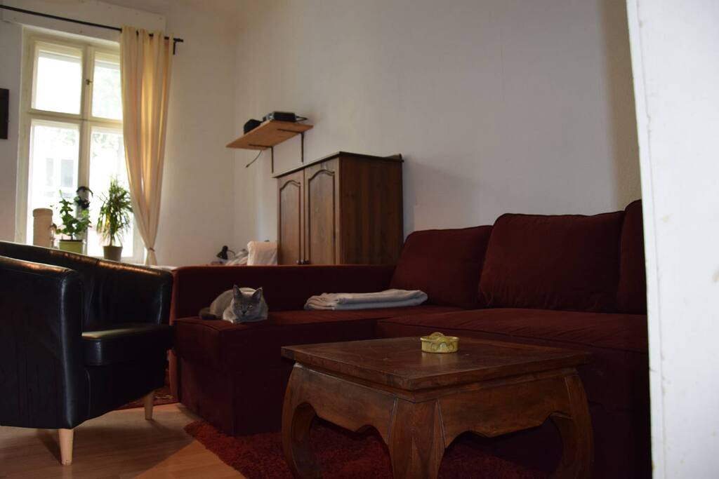 First Room sleeping couch