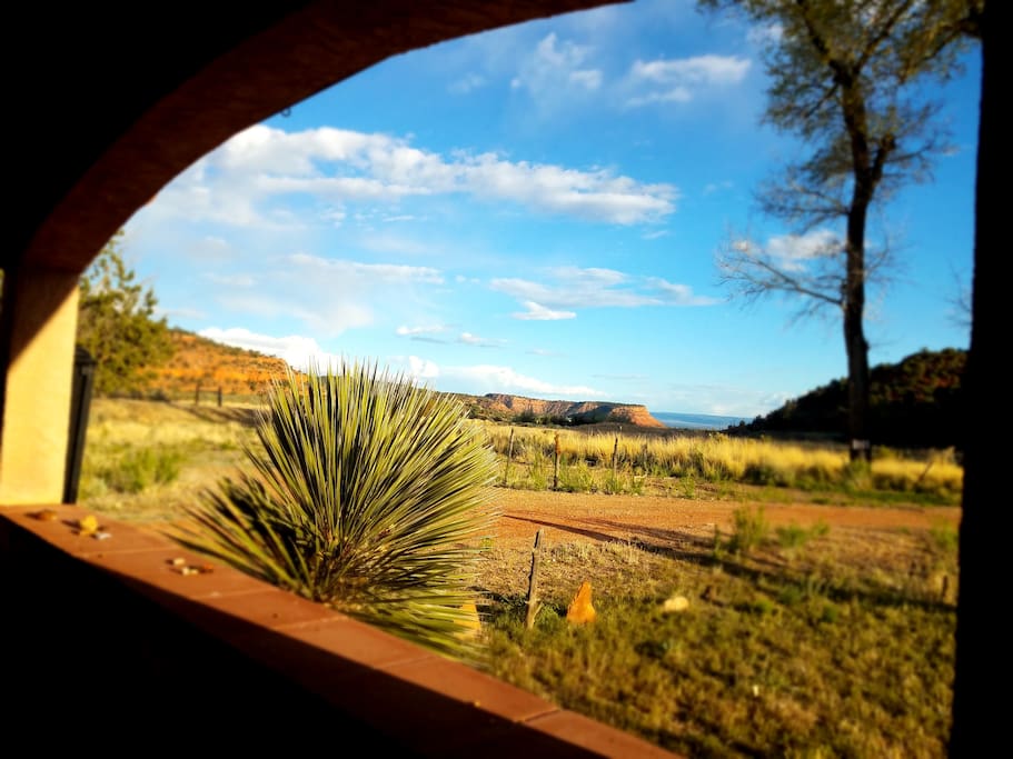 View from the porch