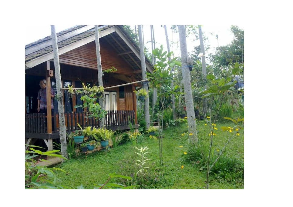 Rumah dan Pedesaan tradisional Pondok untuk Disewakan di Rumah dan Pedesaan tradisional Pondok untuk Disewakan di