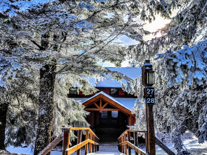 12 Best PetFriendly Cabins In Snowshoe, West Virginia Updated 2024
