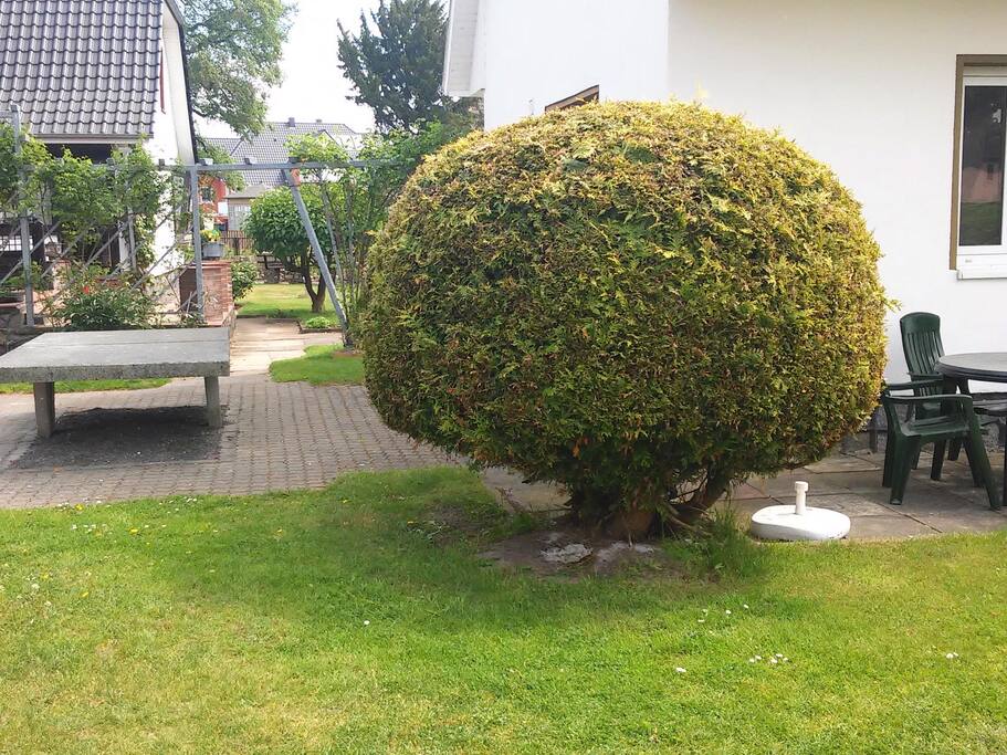 Garten, Terrasse und Tischtennis