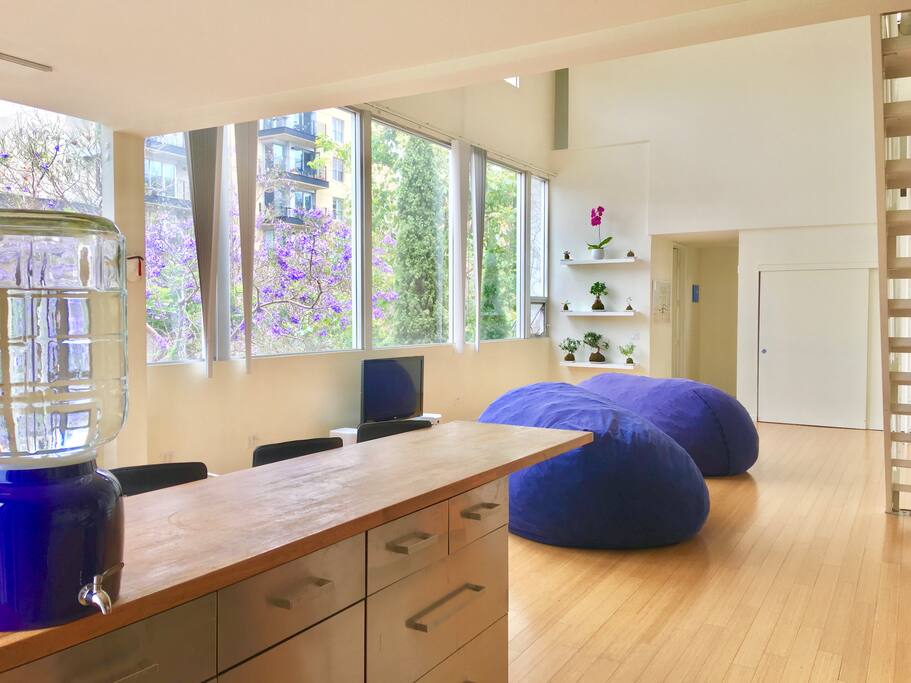 View out front windows from kitchen
