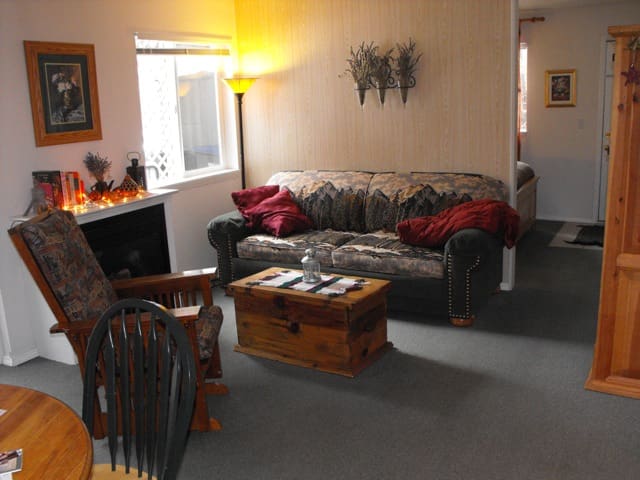 Alpen Chalet, Too!  --Condo suite