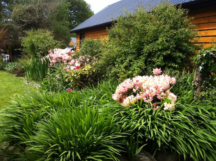 Lovely Cabin With Bantry Bay Views Chalets for Rent in Bantry, Cork