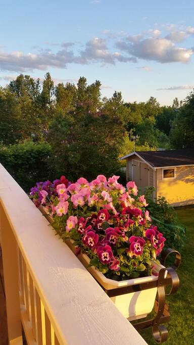 balcony view