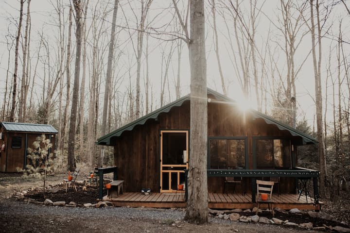 Lumberjack Cabin Wifinear Bald Eagle State Park Cabins For Rent In 