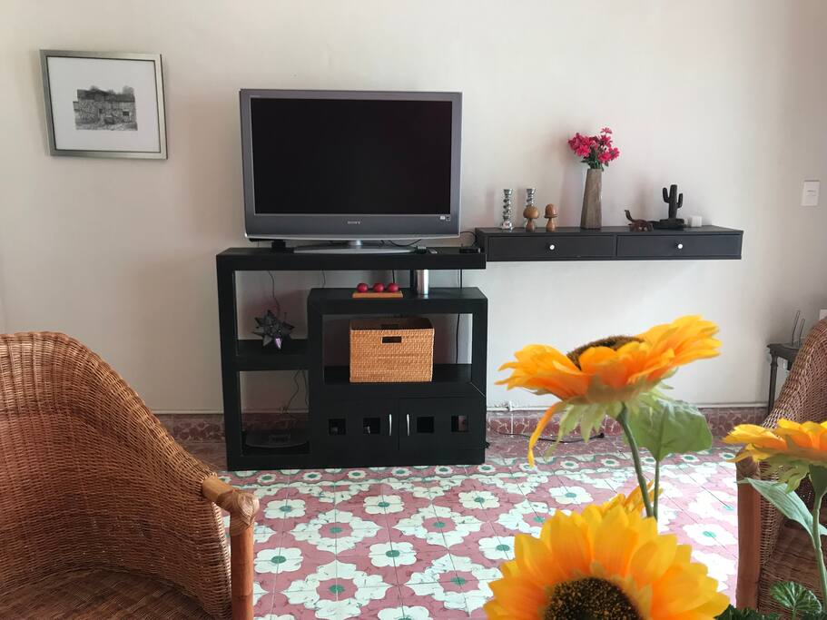 TV con canales digitales