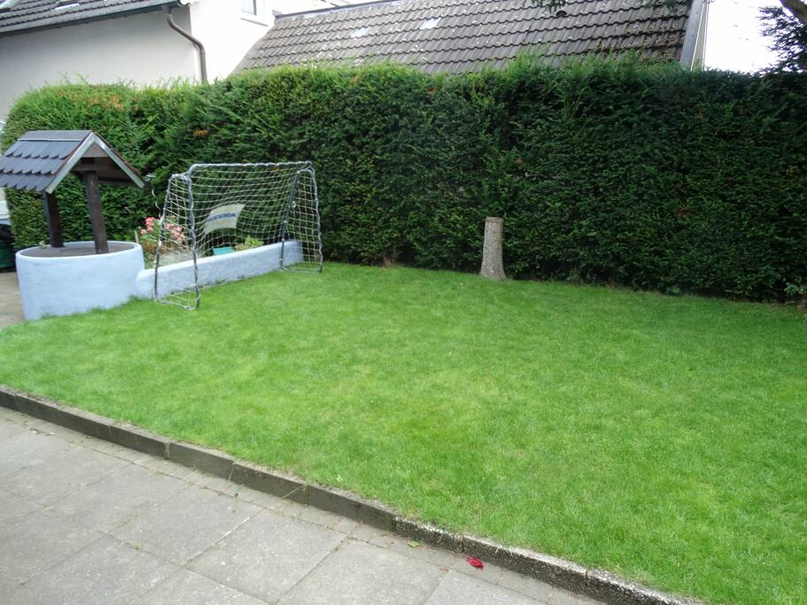 Lawn area 1