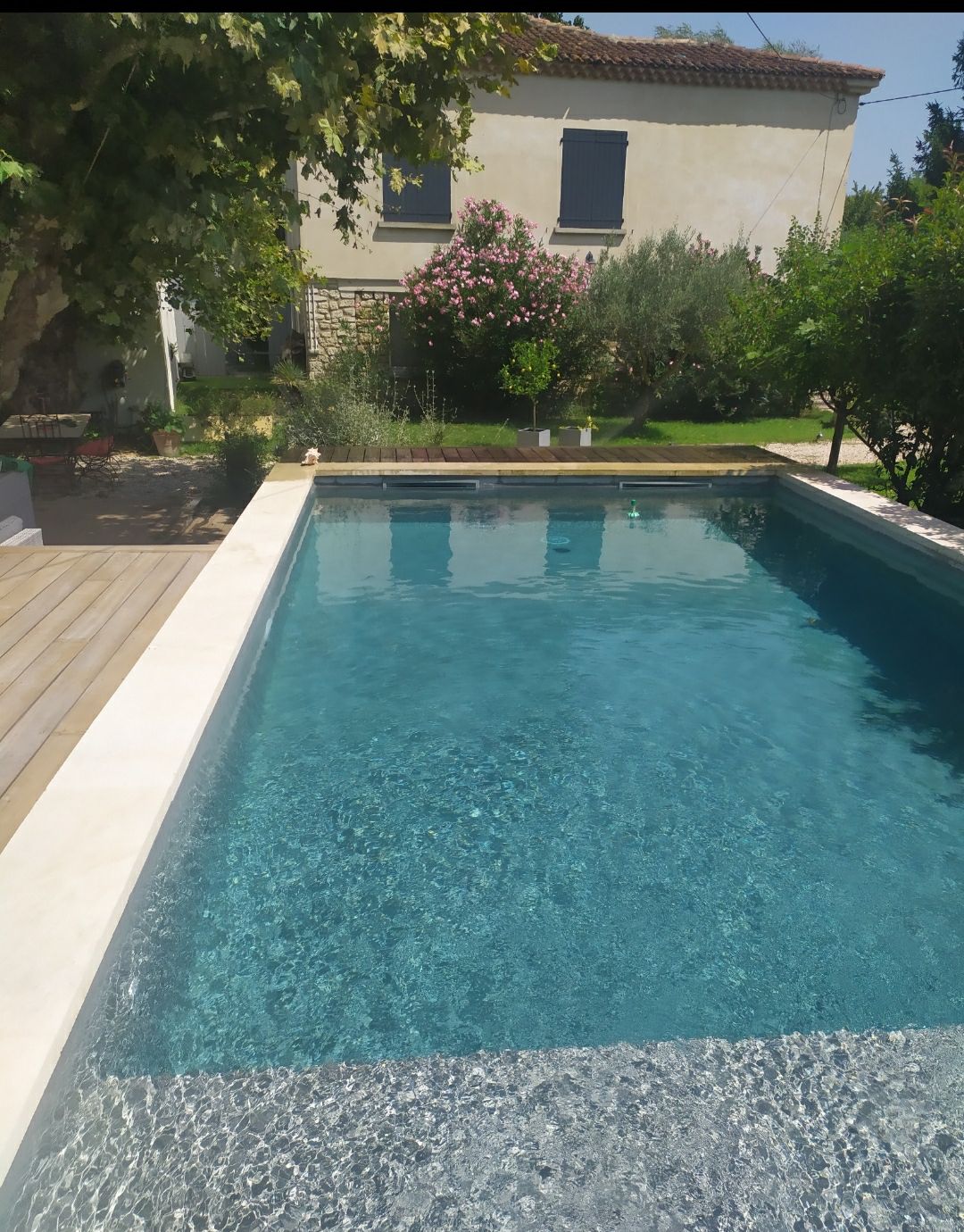 A clear swimming pool is framed by a textured edge, reflecting the sunlight onto its surface. Surrounding greenery and flowering shrubs create a peaceful environment, while the exterior of a two-story house and wooden decking are visible in the background.