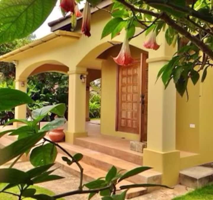 St. Mary Parish House Rentals Jamaica Airbnb