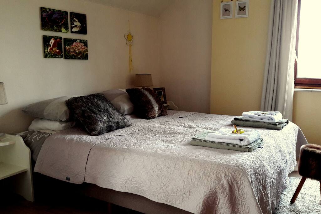 Room Nature