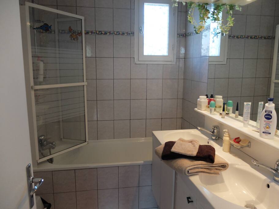 Salle de bains et WC privatifs, sèche cheveux