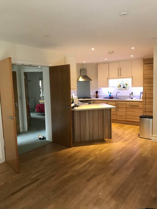 Open plan kitchen