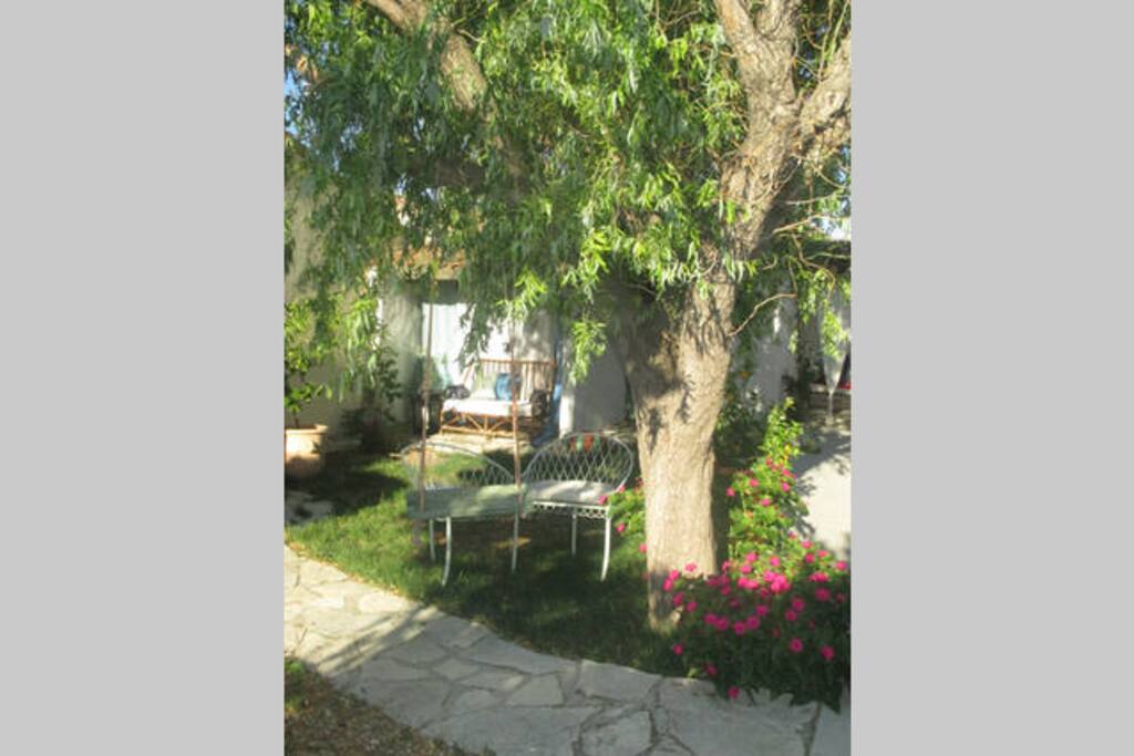 jardin