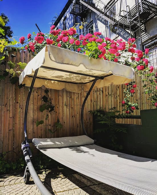 lounge under June's roses