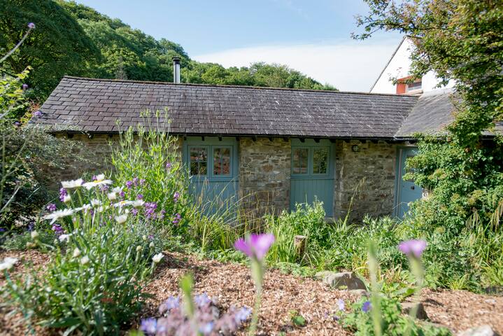 Dandelion Cottage Amroth Pembrokeshire Cottages For Rent In