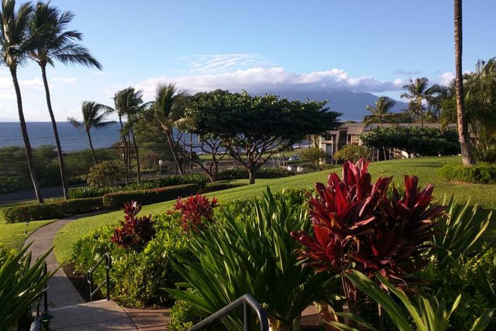 Grounds of Maui Kamaole