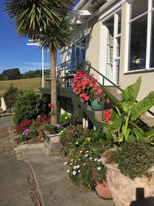 Front sundeck