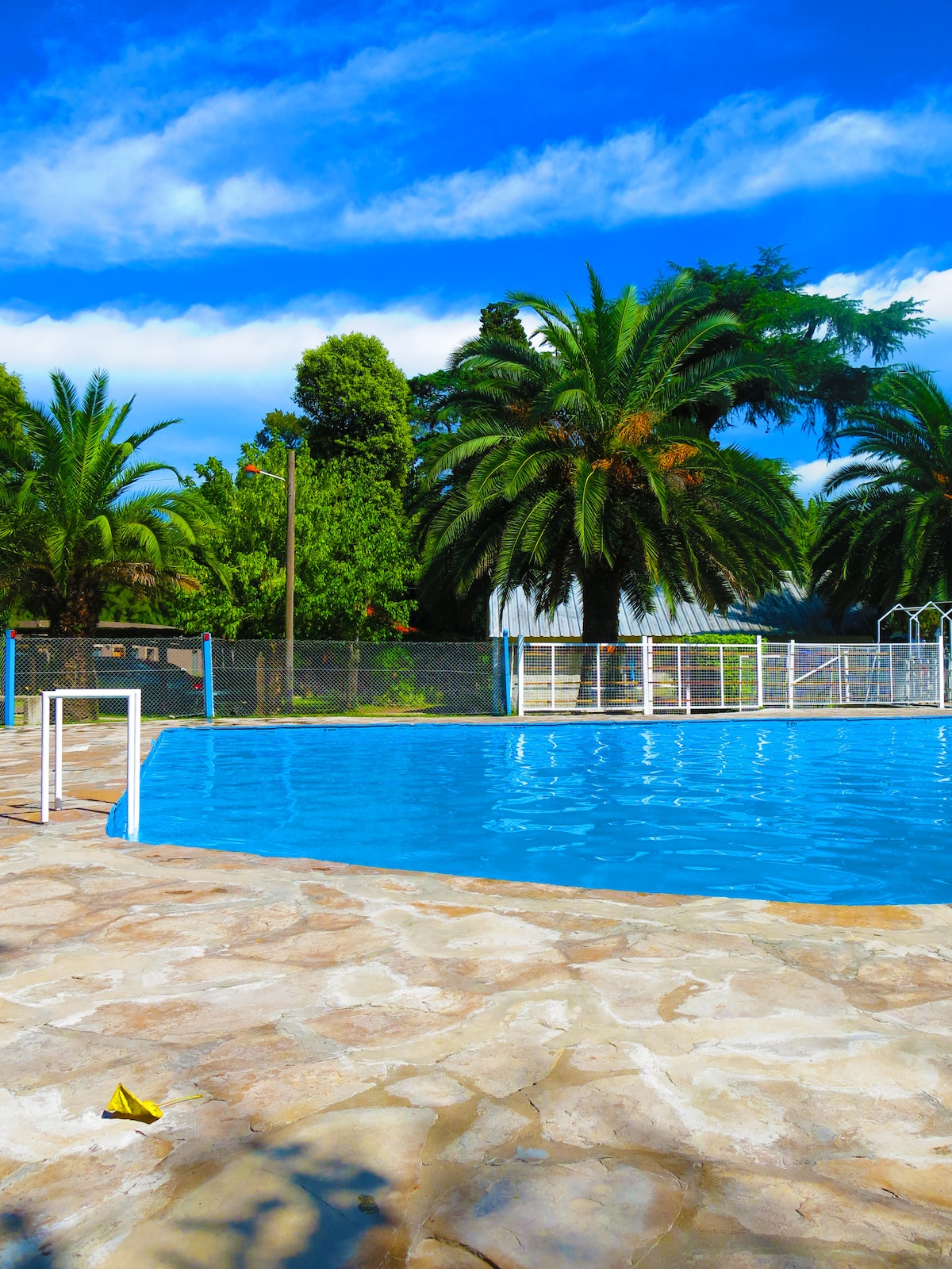 A spacious swimming pool surrounded by a sunlit stone deck. Lush palm trees provide shade along the perimeter, enhancing the natural setting. The clear blue water reflects the bright sky above, offering a serene environment for relaxation.