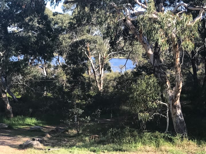 Wentworth Falls Water View Double Room Houses for Rent in Wentworth