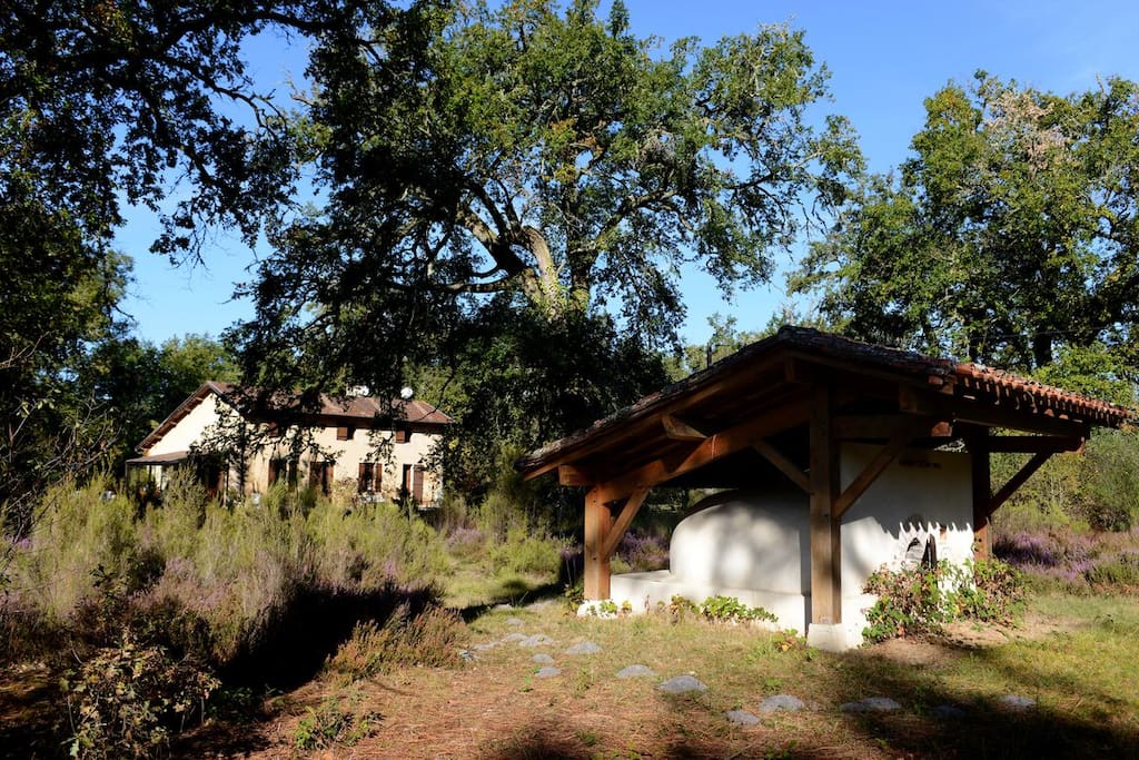 La maison en pleine forêt des Landes