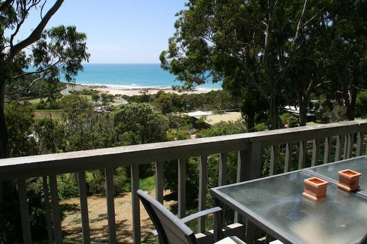 Sea Through the Trees