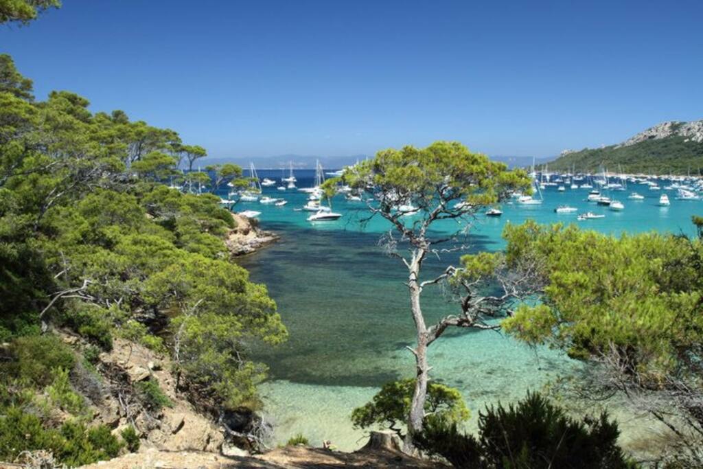 Île de Porquerolles (navette départ Sanary)