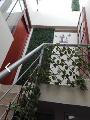 A staircase leads to a bright and airy corridor adorned with artificial greenery. The walls are decorated with subtle art pieces, and large glass doors allow natural light to flow throughout the space. The modern railings feature a gentle curve, enhancing the contemporary design.