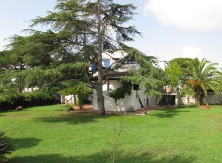 Giardino e patio