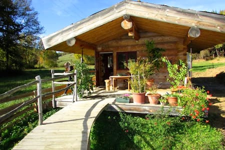 "Luyta" little log house surrounded by forests