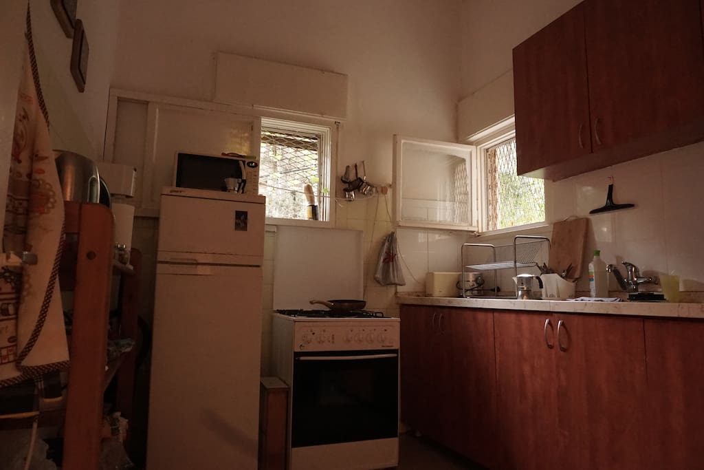 kitchen (bigger then appears in this photo)