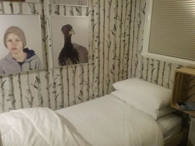 art house at echo point: cosy comfy single bedroom