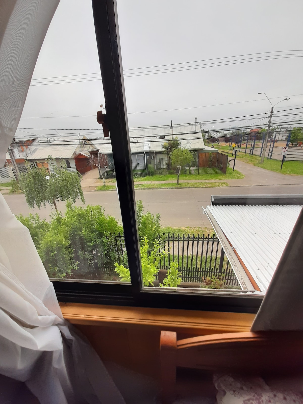 A view from an upper-level window reveals a peaceful street scene, featuring tree-lined sidewalks and various nearby structures, including residential homes and fences. Natural light filters through sheer white curtains, offering a glimpse of the surrounding neighborhood.