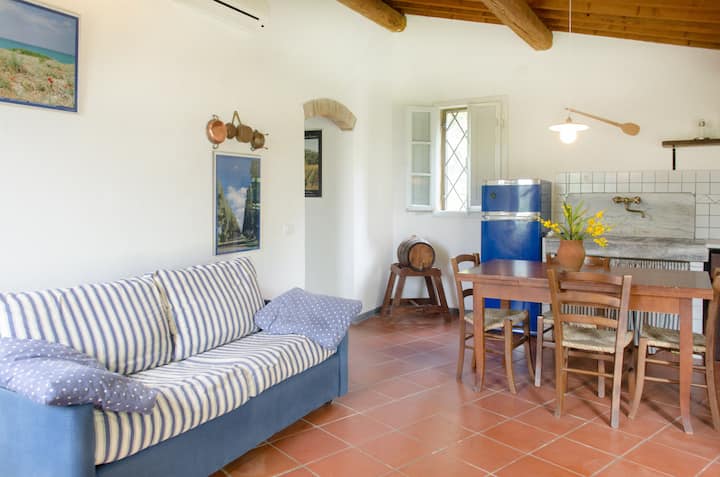 Casa Carraia - Castagneto Carducci