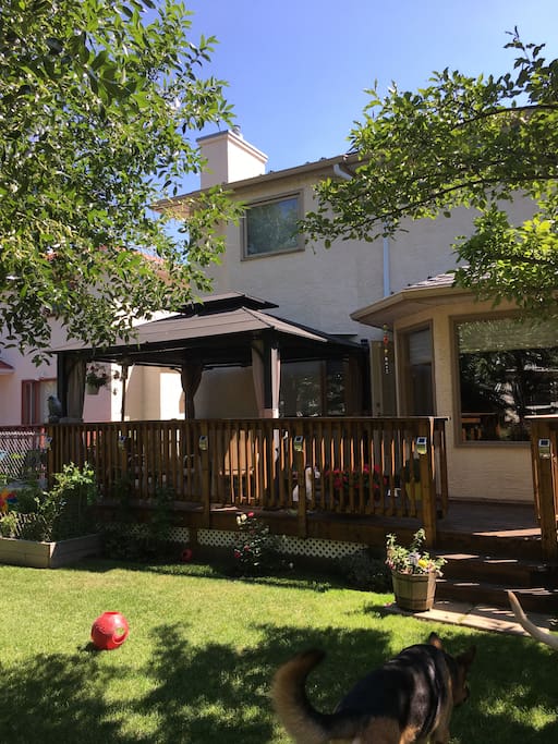 The deck