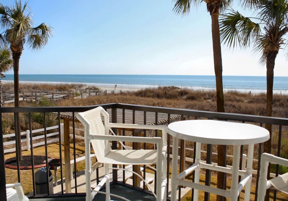 Chair,Furniture,Dining Table,Table,Palm Tree