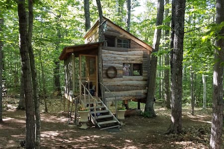 Tree House at the Shire