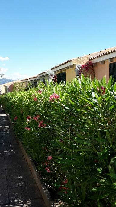 Residence