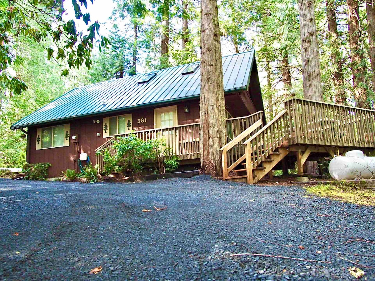 A rustic cabin is nestled among tall trees, featuring a sloped metal roof and a wooden ramp leading to the entrance. The surrounding area is landscaped with shrubs and stones, enhancing the natural setting.