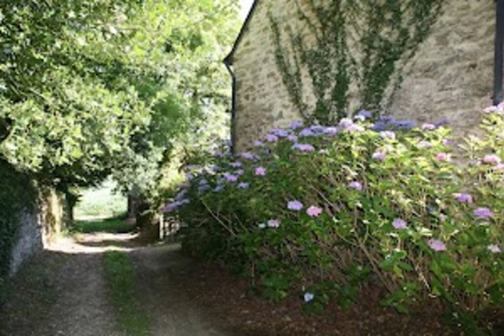 Side lane leading to garage