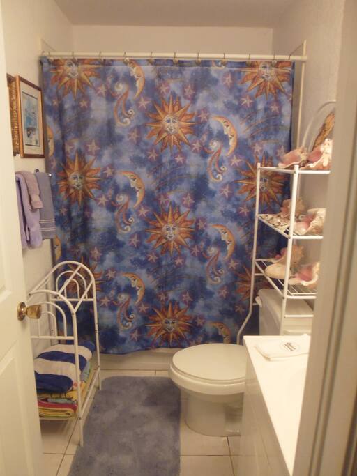 Guest bathroom