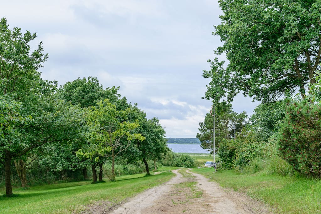 The view from the house and terrace