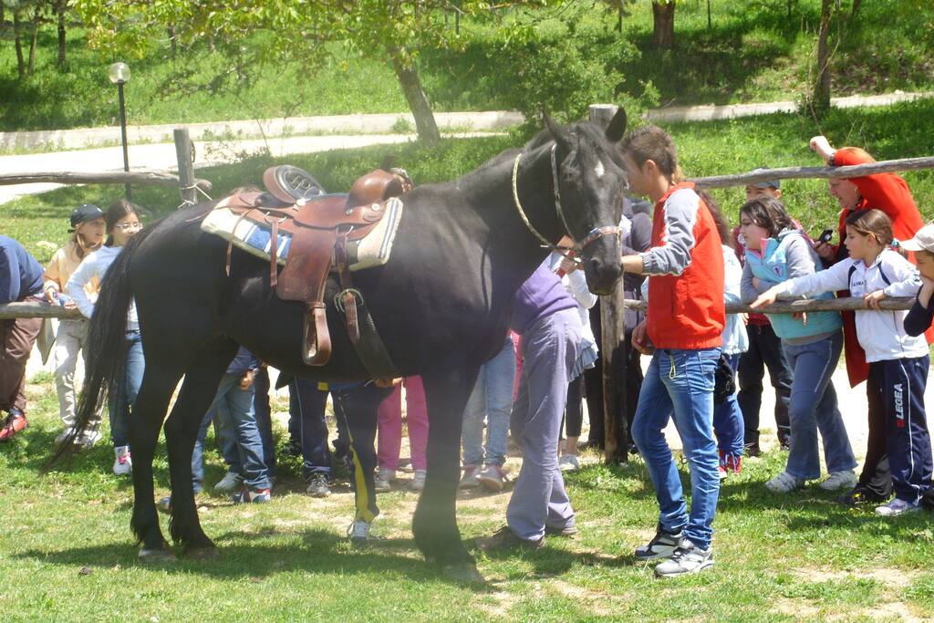 battesimo della sella