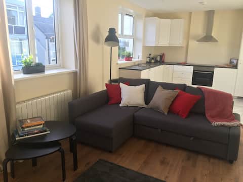 Galway City Stylish and Spacious
