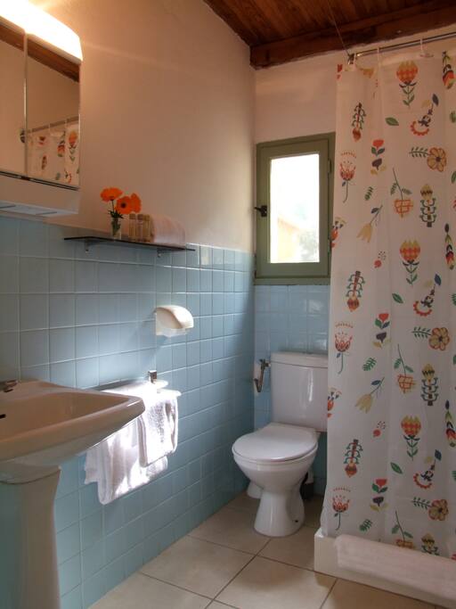La salle de douche et les wc
