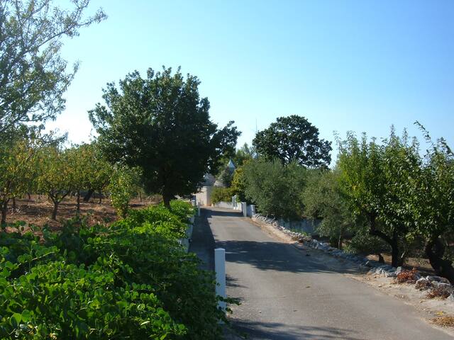 luxury villa for relax and beaches gallery image 3