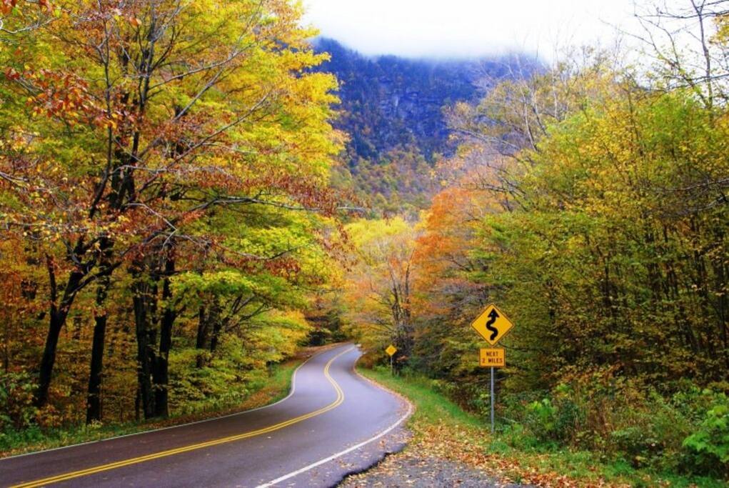 ROAD IN FRONT OF COTTAGE IN THE FALL