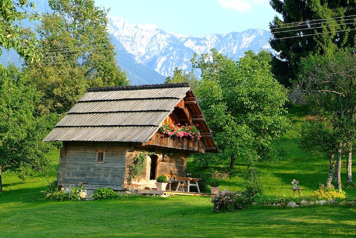 Romantic cottage in Carinthia